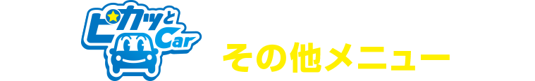 手洗い洗車専門店その他メニュー