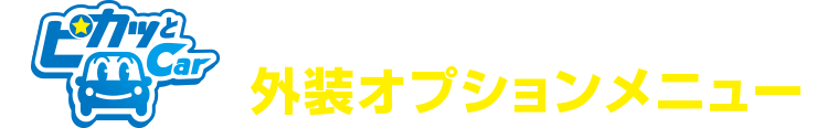 手洗い洗車専門店 外装オプションメニュー