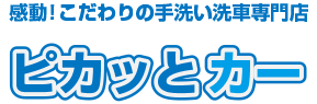 ピカッとカー